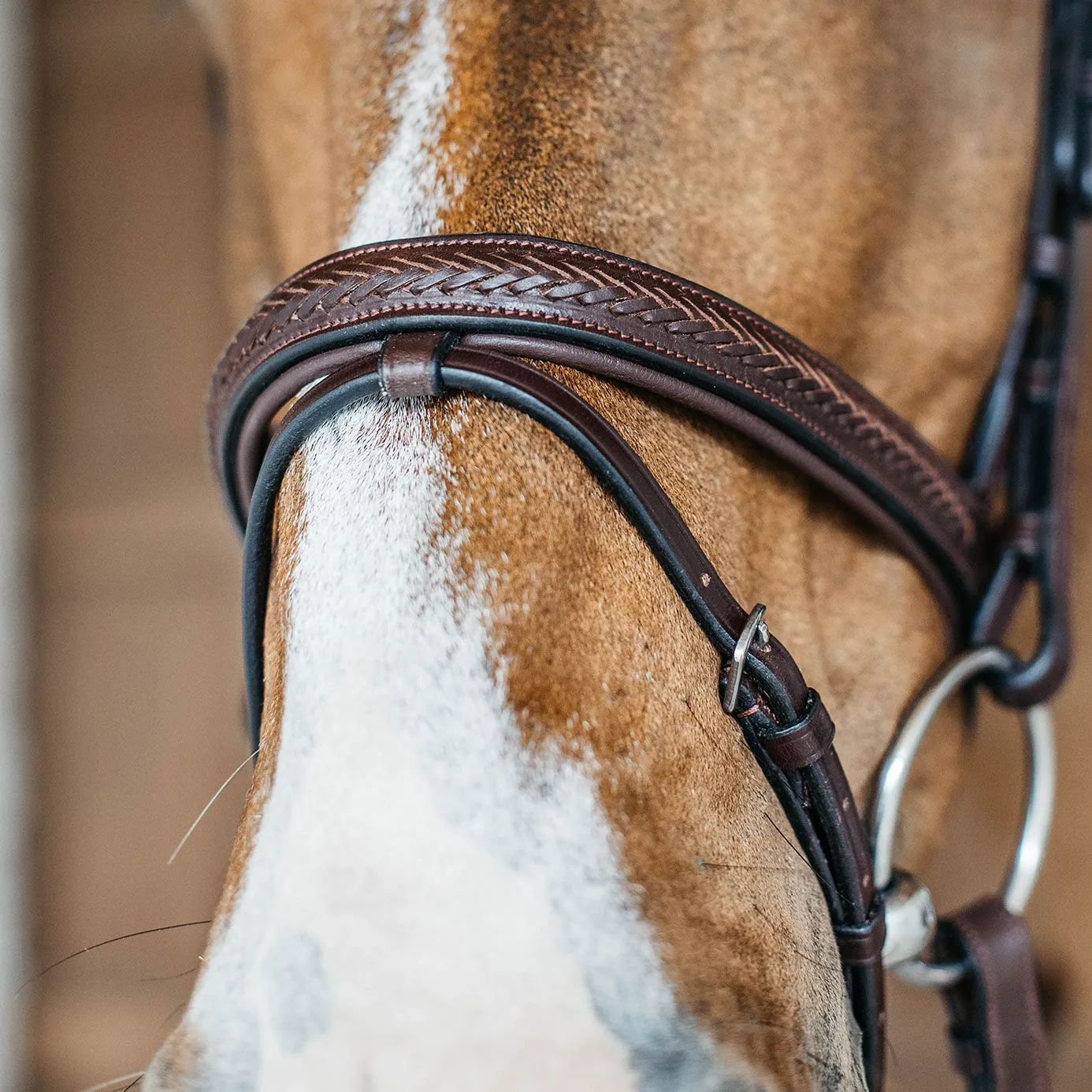 Dy'on New English Plaited Flash Bridle - Brown