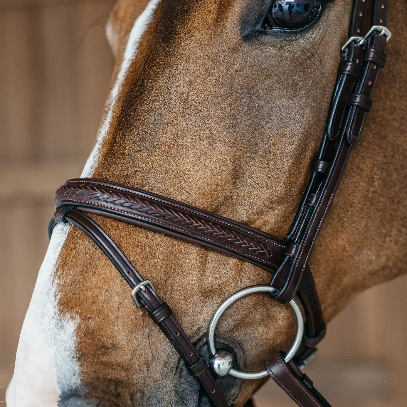 Dy'on New English Plaited Flash Bridle - Brown